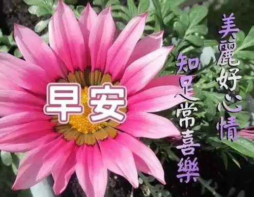  背不动,就放下伤不起的,就看淡想不通的,就丢开,早安