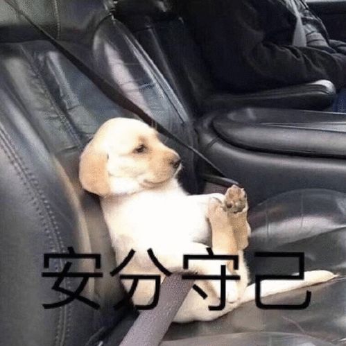  推特twitter数据采集内容,粉丝,关键字等