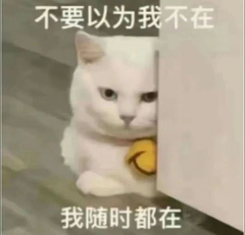  斗鱼一姐现身西双版纳回头率拉满,偶遇男粉追问我线上线下哪个更好看