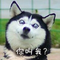  卡通二哈表情包