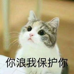  王者荣耀求带表情包高清无水印版下载
