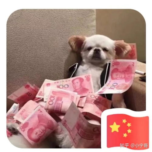  教程给我一面国旗微信官方,正确操作方式