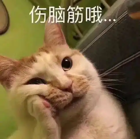一只白猫旁边一个问号的