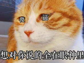  男票跟你发脾气撂个表情包给他靓仔千千万,不行咱就换