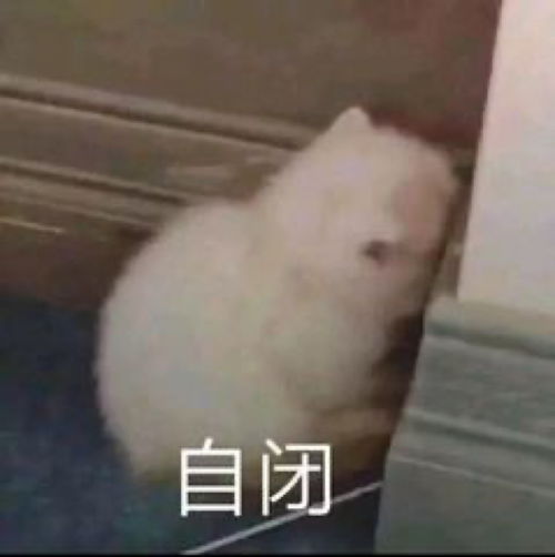  女朋友很可爱是什么体验当然是爱用沙雕高糊表情包