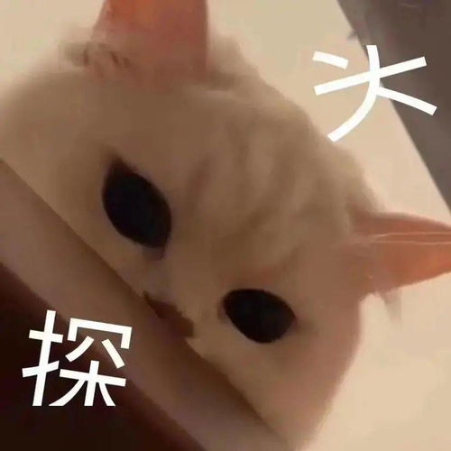  宝鸡要新建医院学校幼儿园了