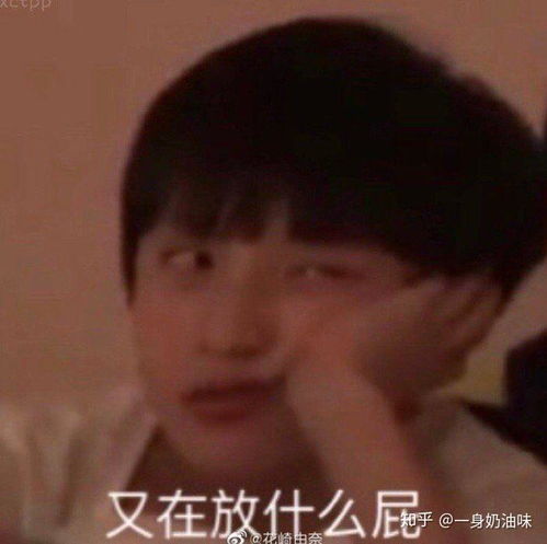  有哪些沙雕tnt时代少年团的表情包