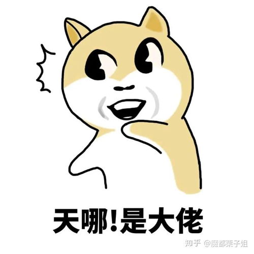  怎么点评罗振宇说的干保险的人要么走投无路,要么身怀绝技