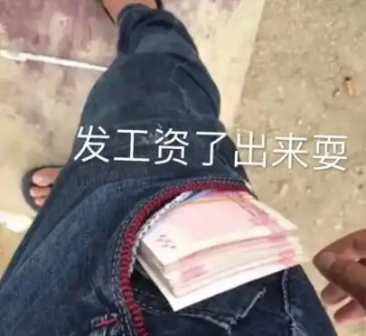 宠物表情包gif土味
