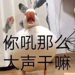  快来斗图第一弹