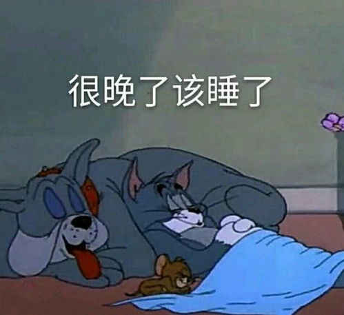  表情猫和老鼠搞笑表情包很晚了吧,该睡了,小宝贝表情