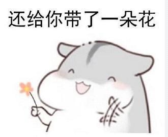  苏媒摄影团队招新啦抓住那束光,和我们一起搞事情
