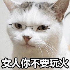 小猫表情包大全