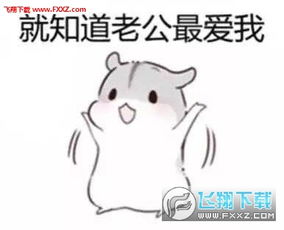  hamham仓鼠表情包老公版哄老公专用仓鼠表情包完整版下载飞翔下载