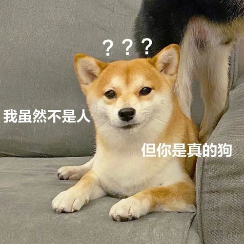  表情包嘿嘿,没打着