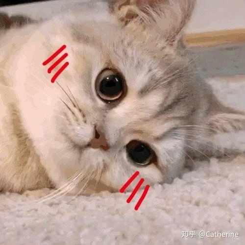  中考成绩公布前半小时你在干什么