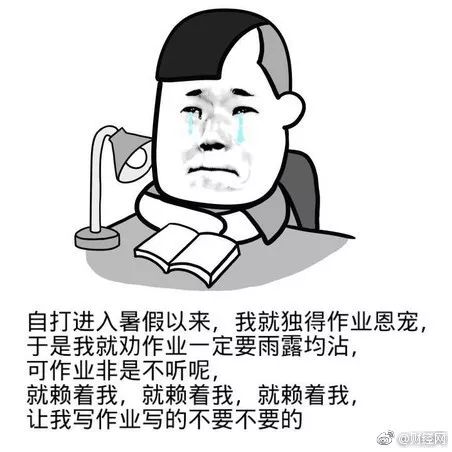  一本练习册40元,没答案再加20元暑假作业火了枪手