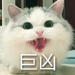  巨凶超萌猫咪表情包带字图片委屈猫咪吸猫表情包下载乐游网游戏下载