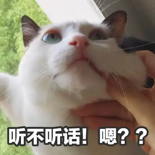  楼上邻居野蛮装修,楼下房顶被凿穿,搁谁谁不气