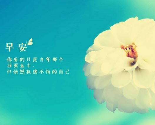 迷人的微笑图片表情包早