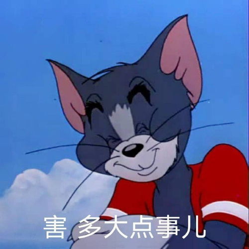 汤姆猫看报纸表情包每天