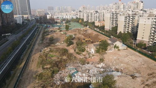  南京这个超级板块,正在拼命建学校
