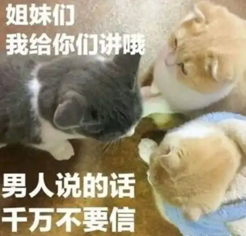  6ed8981669128e0baae4d7d87993a957表情