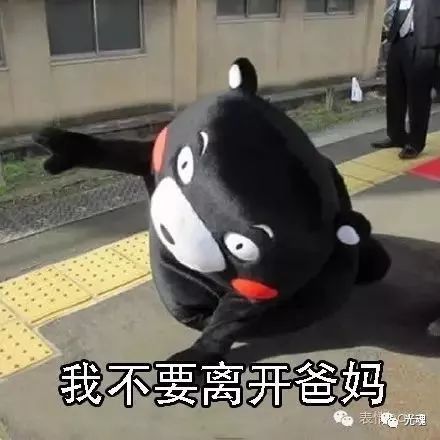 谁喝酒谁是狗表情包不醉