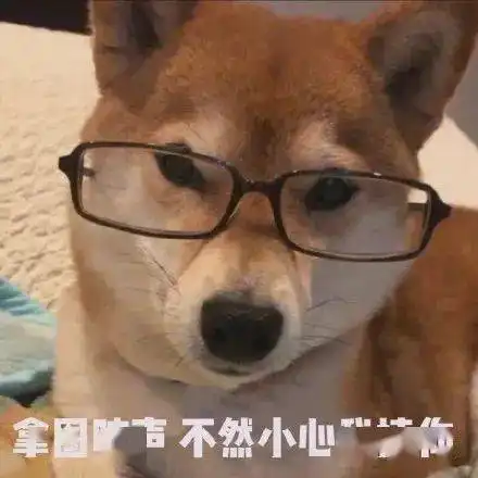  可爱表情包又更新了