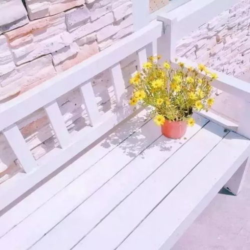 最吉利的花草头像头像