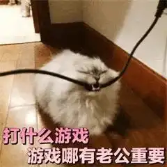 每日吸丨自带仙气的橘猫