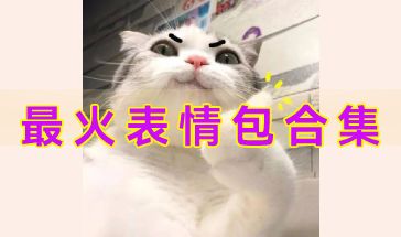  2024最火表情包下载2024各种表情包大全抖音最近很火的表情包动态