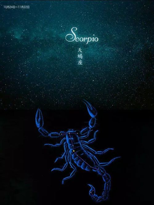  趋于爱情,更似亲情的两个星座,不需要言语,都能懂得彼此