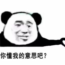  史上最全沙雕情侣头像合集哈哈哈哈哈哈哈哈哈
