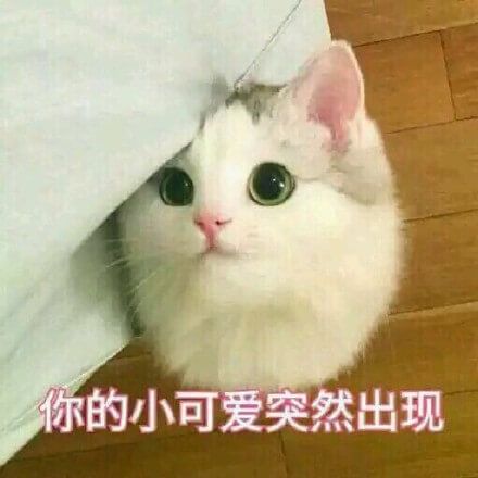  惊爆redis竟然能做这么多
