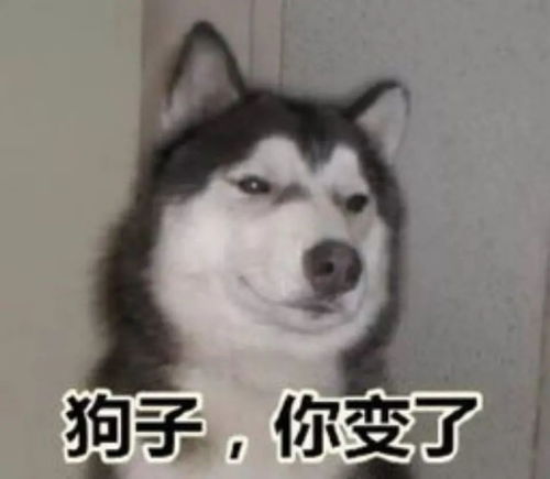  沙雕表情包正义的我不能视而不见