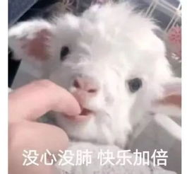  432米挑战广州之巅垂直马拉松,你敢来吗