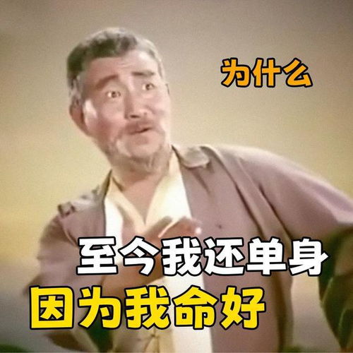  好笑又上头的发疯表情包