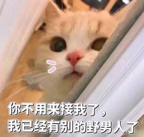  女生都要有的百变仙女表情包,你没有,你就一定是单身汪
