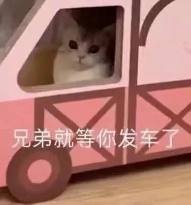  当代学生出逃记,学校怕学生无聊兴建迪士尼