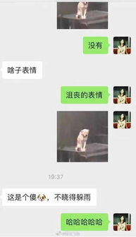  千万不要给爸妈发表情包,哈哈哈忍不住笑出猪叫声