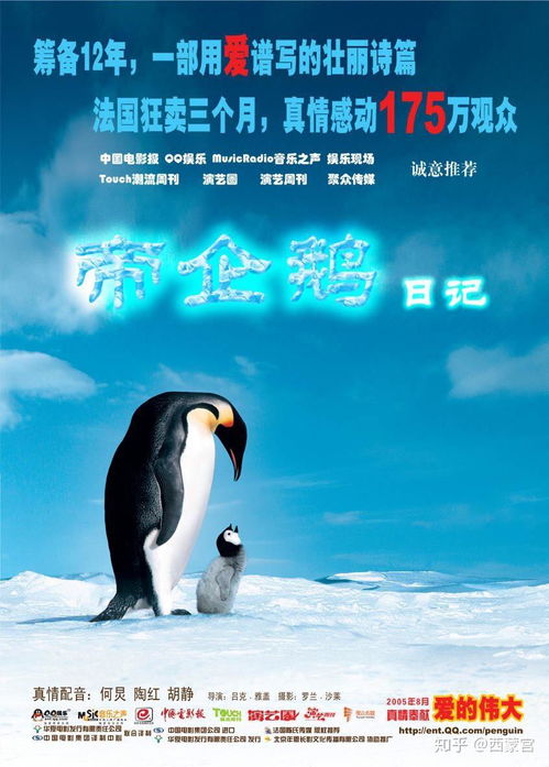  纯个人喜好十部好看的纪录片推荐带资源
