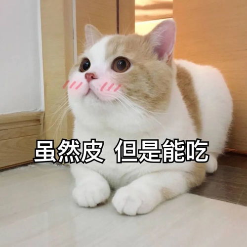  萌萌哒表情包来喽