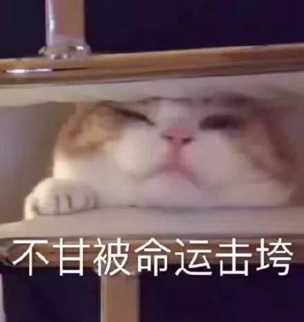  不务正业师范毕业做裁缝,把旗袍一改造直接上了纽约时装周
