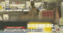  战斗民族果真名不虚传,向大佬低头...