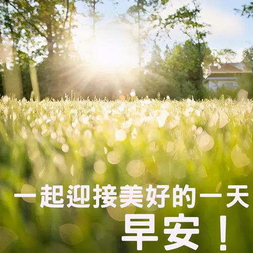 一万个美丽的未来,抵不上一个温暖的现在,早安