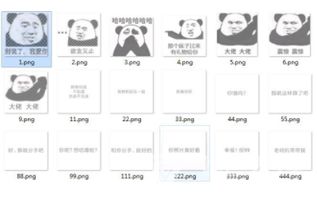  抖音灰色熊猫头文字表情包熊猫头表情图片完整版软件下载