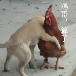  给公司起个好名字有多重要