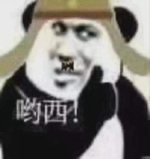  太君表情包你滴良心大大滴好