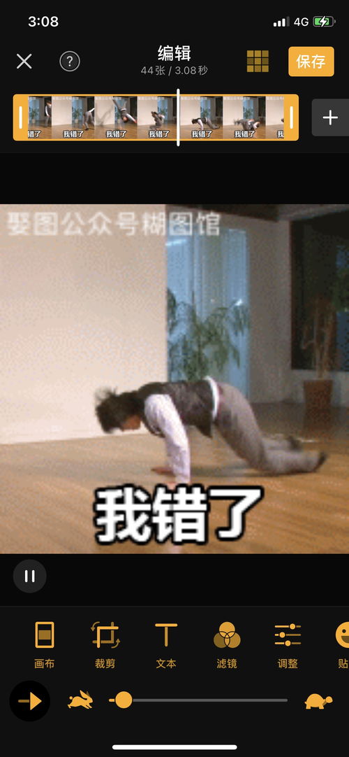  道歉表情包丨下次道歉就用这个表情包非常实用哈哈哈哈哈